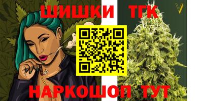 индика Абакан