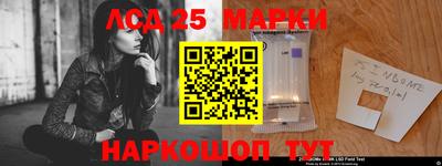 индика Абакан