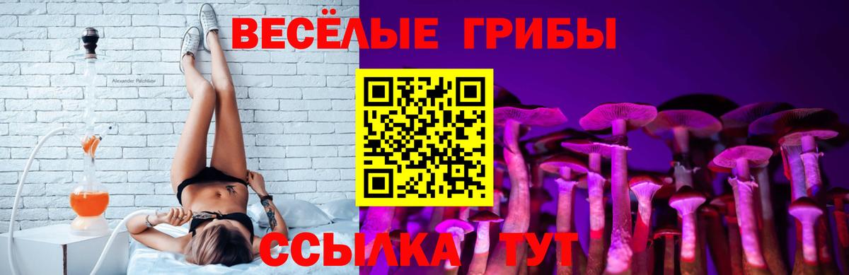 Галлюциногенные грибы GOLDEN TEACHER Амурск