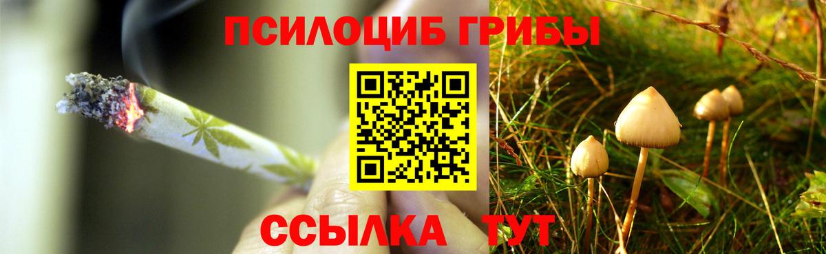 Амурск  Псилоцибиновые грибы прущие грибы  Вход с VPN 